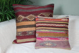 zwei orientalische Sofakissen auf Sofa mit Palme