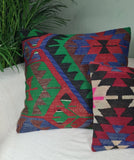 zwei Kelimkissen mit starken Farben auf sofa mit Palme